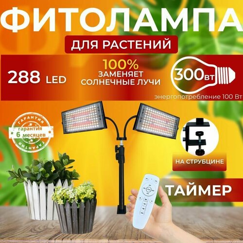 ���� ��������� ��� ����������� �������� ������� ������ ������ �������������� ������������ � ��������, 2 ����� ���������� ��� ������ �� ������������ �������, ��������� ���������, ������ �� 6200 ���