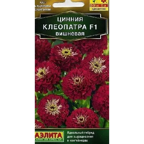 ���� ������ ��������� �������� F1, ������ ������ 12��, ������ �� 65 ���