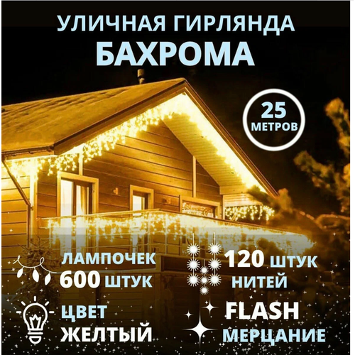 ���� �������� �� ��� 25 ������, ������� ������� �����, ������� ������� �������, ������ �� 2490 ���