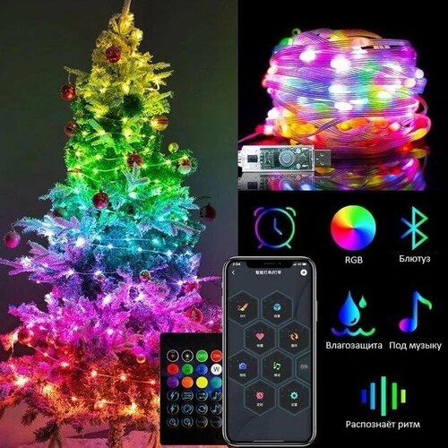 ���� ����� ������������ �������� RaslGoodS RGB 10 �, 100 LED, ������ �� 990 ���