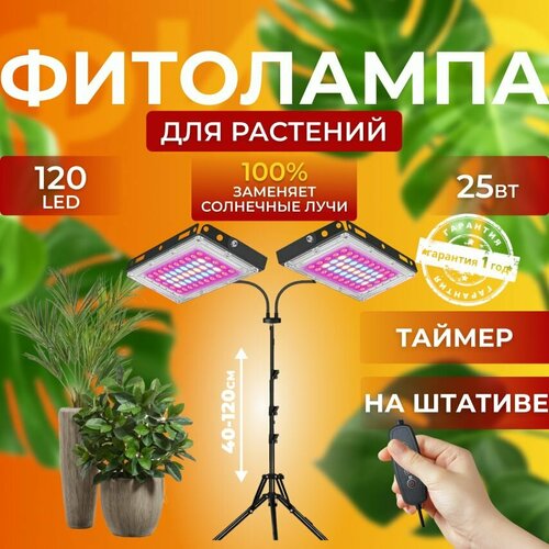        ,     ,  2   ,  , ,   3900 