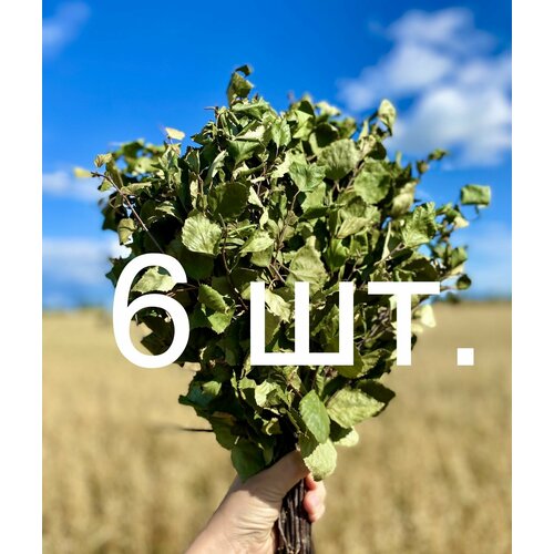      6 . ( 2024, ),   2012 