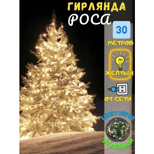 ���� �������� ����, ������ �� 1499 ���