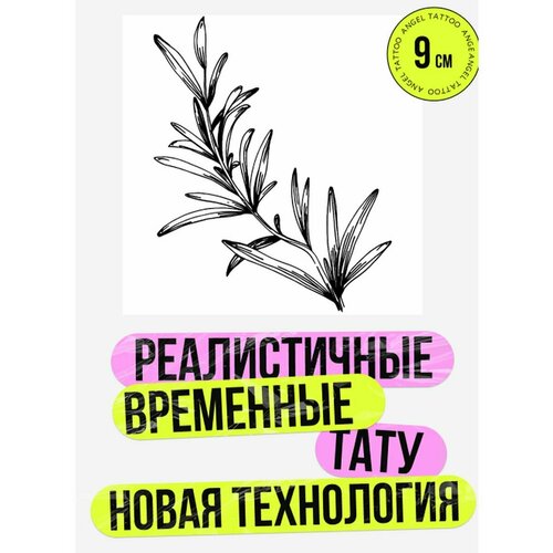 ���� ���� ���������� �������������� ��������, ������ �� 450 ���