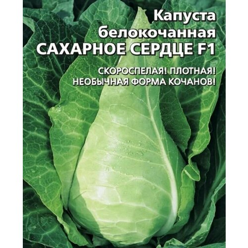 ���� ������������� ������ ������� �/� �������� ������, ������ �� 102 ���