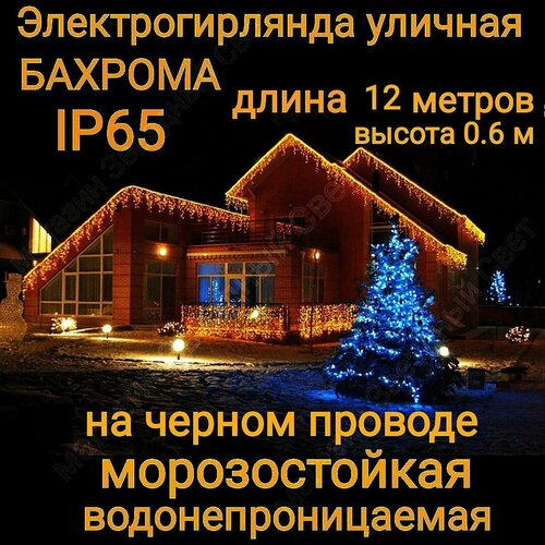 ���� ��������������� ������� ������� ������������ ������ �� ������ ������� 12 ������, ������ �� 2990 ���