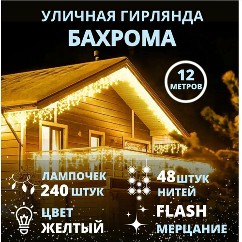 ���� �������� �� ��� 12 ������, ������� ������� �����, ������� ������� �������, ������ �� 1790 ���