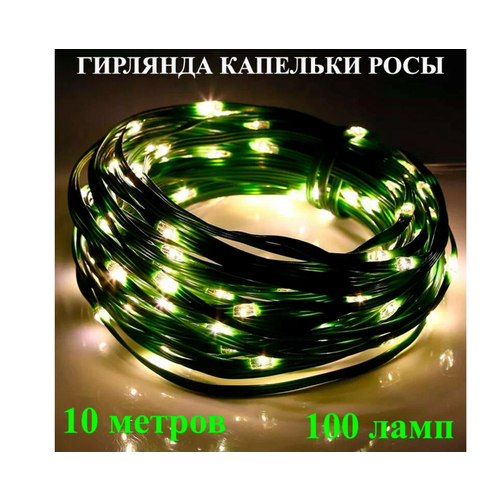 ���� �������� 10 ������, ���� ������� �����, ���� ������� ������� �� ������� ����� �� ����, ������ �� 690 ���