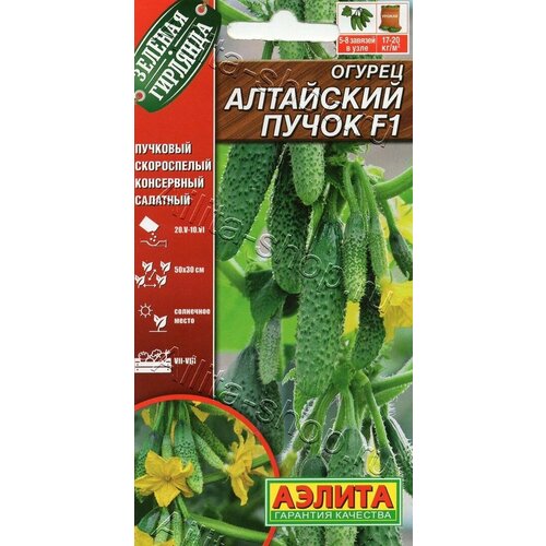 ���� ������ ������ ��������� ������ 