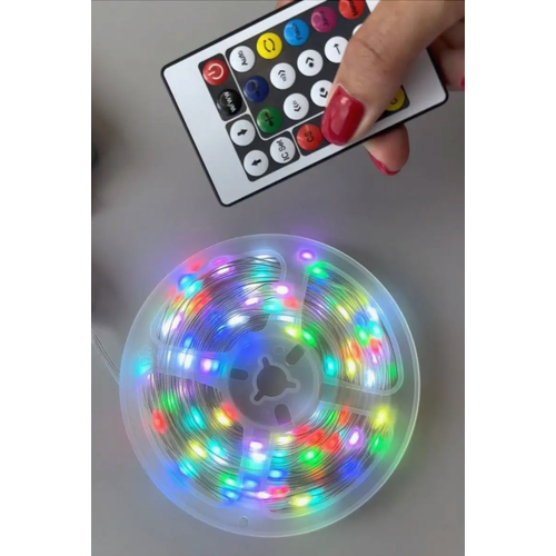 ���� ������������ ��������-����, 50 �, �������� �� ���������� �������, ���������� ��������, ������������, ������ �� 1590 ���