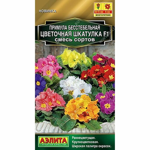      F1,  , , () 5  ,   73 