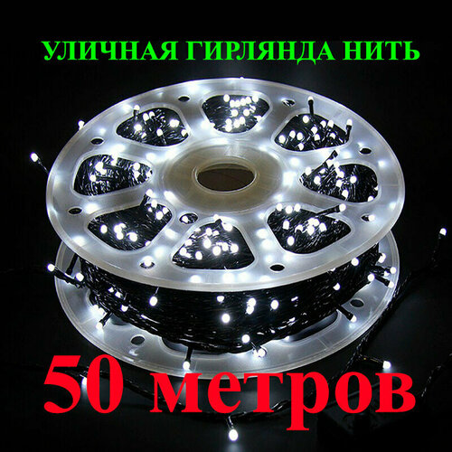 ���� ������������ �������� ���� ������� � ������ (�������). ����� (�������� �����). ����� 50 ������. 8 �������, �����������., ������ �� 1540 ���