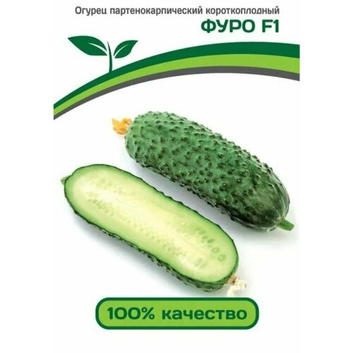 ���� ������������� ������ ������ ���� F1, ������ �� 125 ���