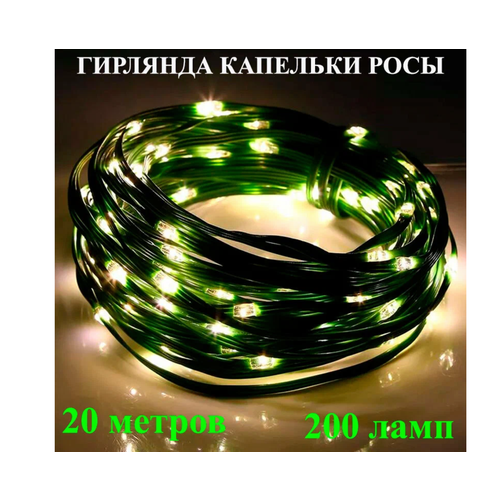 ���� �������� 20 ������, ���� ������� �����, ���� ������� ������� �� ������� ����� �� ����, ������ �� 990 ���