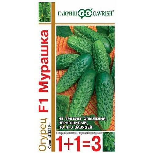 ���� ������ ������� F1, 1+1, 20�� ������, ������ �� 125 ���