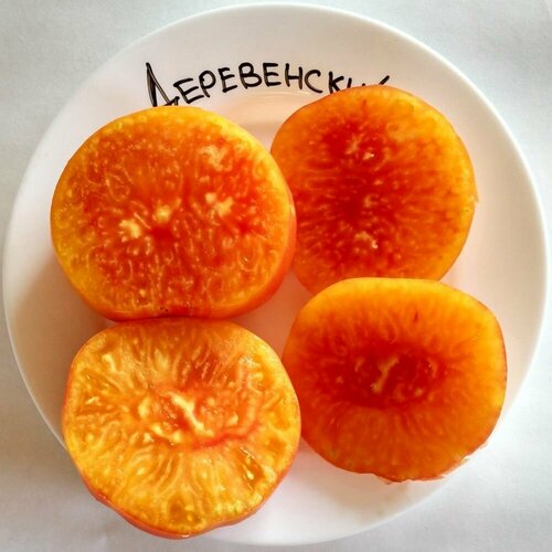 ���� ������������� ������ ������ �����������, ������ �� 127 ���