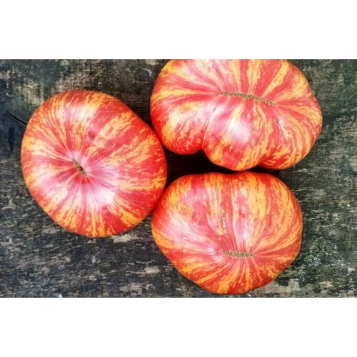 ���� ������������� ������ ����� �������� ����, ������ �� 102 ���