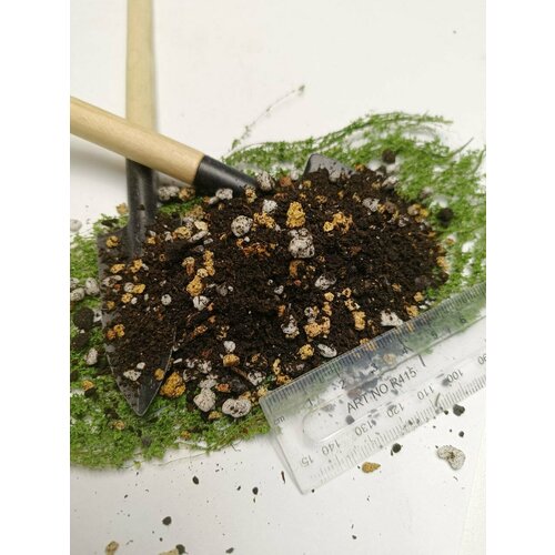 ���� �������� 