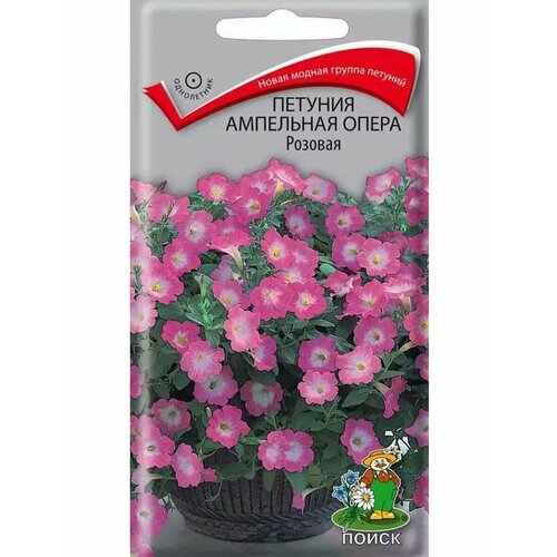 ���� ������� 