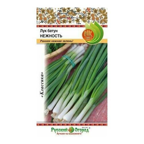 ���� ��� ����� 