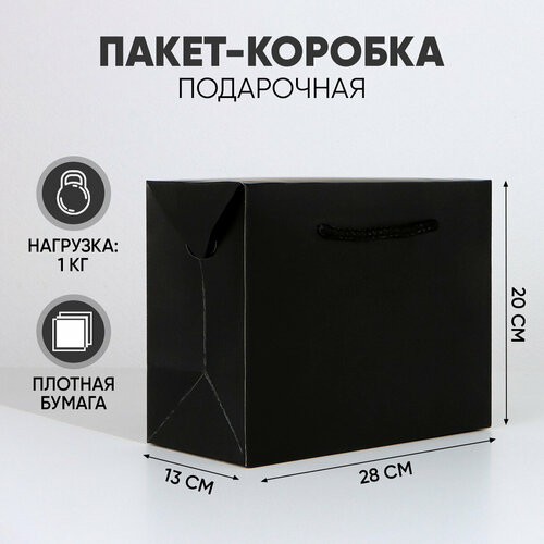 ���� ����� � ������� ���������� �׸����, 28 ? 20 ? 13 ��, ������ �� 201 ���