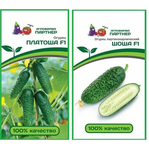 ���� ����� ������ ������� F1 + ���� F1 ������ ������� (2 ��������* 5 �� �����), ������ �� 601 ���