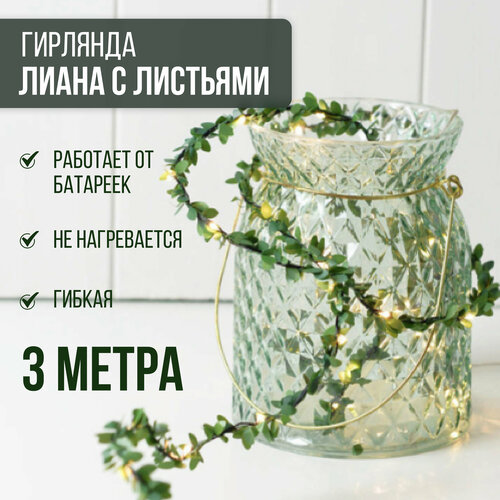 ���� �������� 