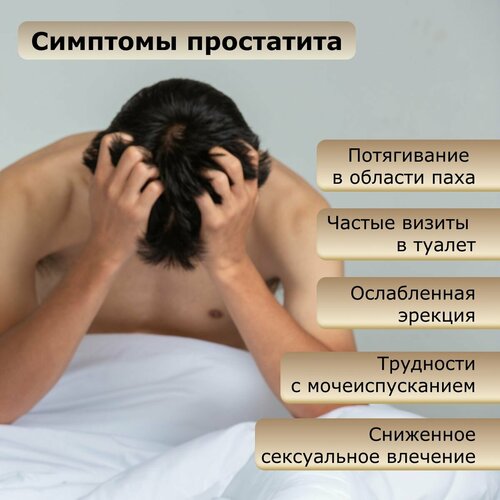 ���� ������������ �������� 