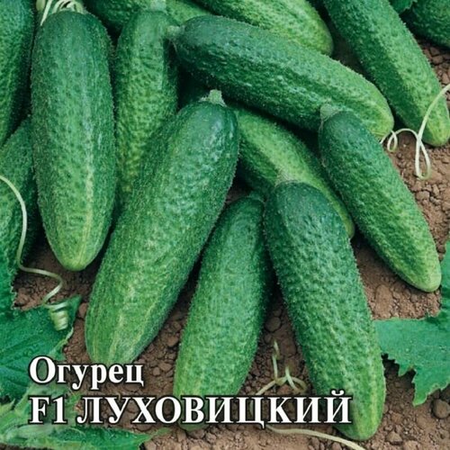 ���� ������������� ������ ������ F1 ����������, ������ �� 122 ���