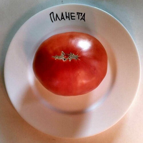 ���� ������������� ������ ������ �������, ������ �� 102 ���