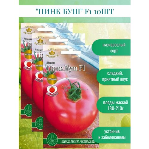 ���� ������ ������ ���� ��� F1 10��*, ������ �� 390 ���