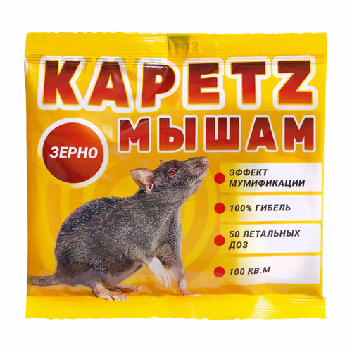 ���� �������� �� ���� � ����� ����� ����� (100 ��), ������ �� 65 ���