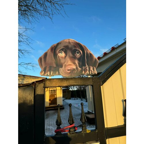 ���� ����� �� ������� ��� ����, ���� 