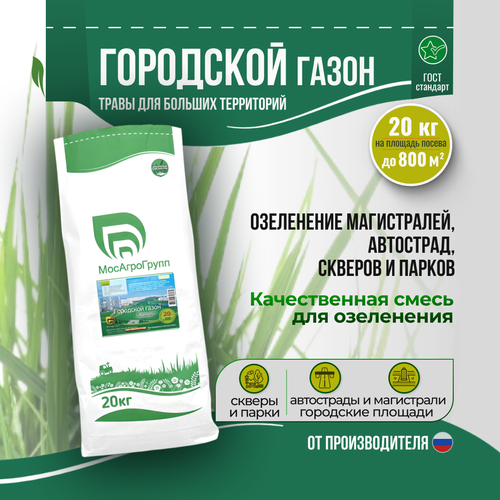 ���� ���������� 