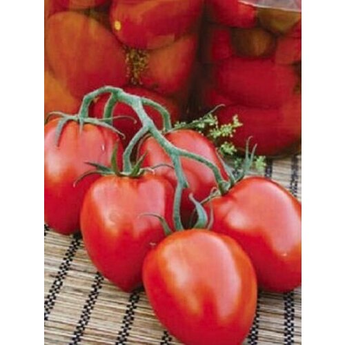 ���� ������������� ������ ������ ��������, ������ �� 104 ���