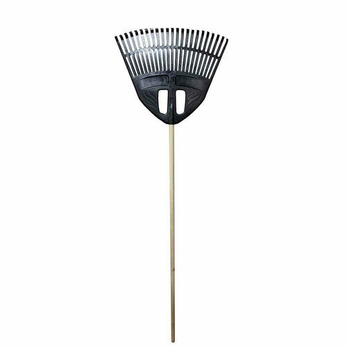 ���� ������ ������� 23 ���� �������� � ���������� �������� 1�, ������ �� 679 ���