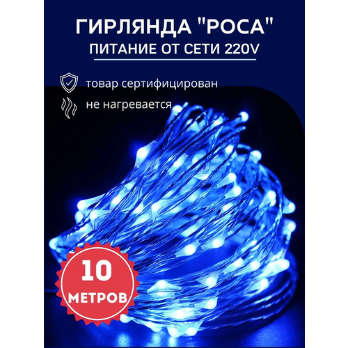 ���� ����� �������� 