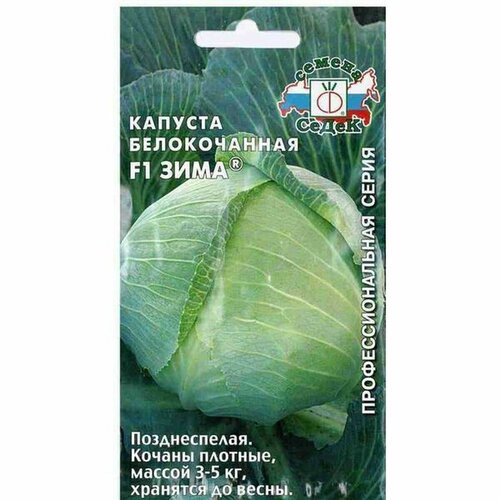 ���� ������ ������� ������������ ���� F1 �. (�����) 0,1�, ������ �� 82 ���