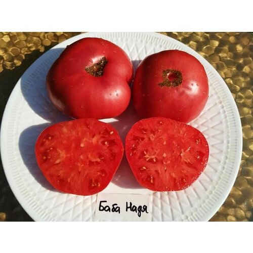 ���� ������������� ������ ������ ���� ����, ������ �� 127 ���