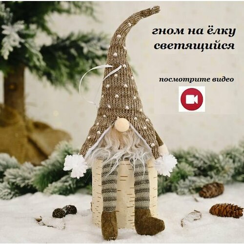    BOTTONCINI  , , ,   498 