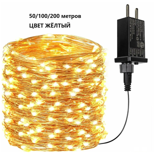 ���� �������� ����������� 