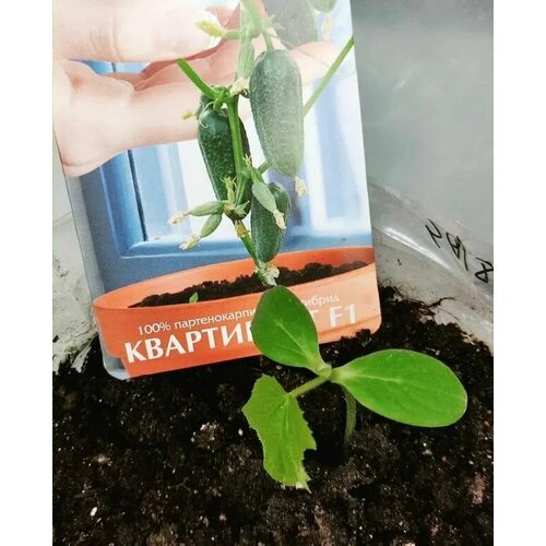 ���� ������������� ������ ������ ���������� F1, ������ �� 102 ���