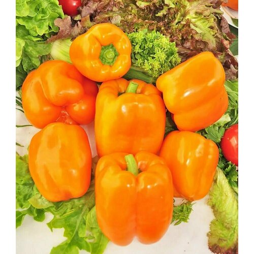 ���� ������������� ������ ����� �������� F1 �������, ������ �� 102 ���