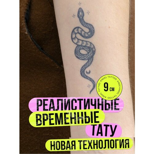 ���� ���� ���������� �������������� �������� ����, ������ �� 450 ���