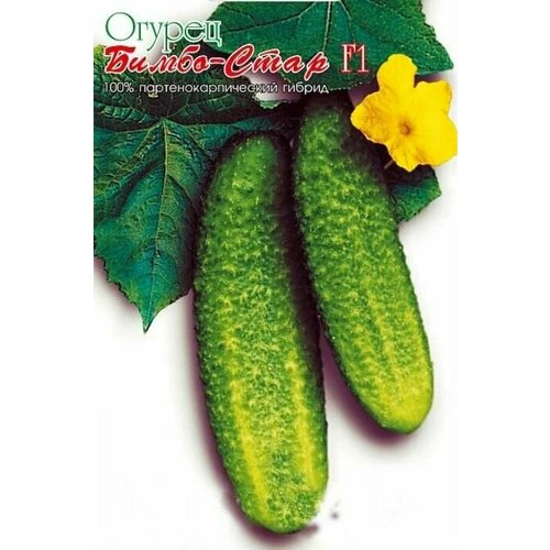 ���� ������������� ������ ������ �����-���� F1, ������ �� 127 ���