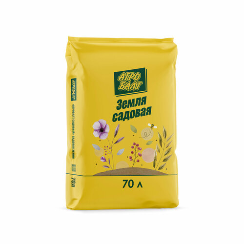 ���� ����� 