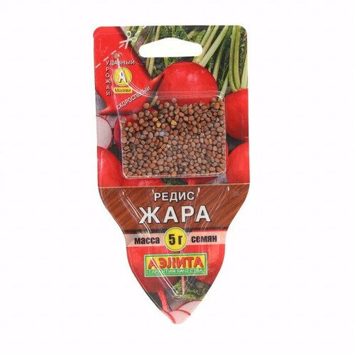 ���� ������ ����� 