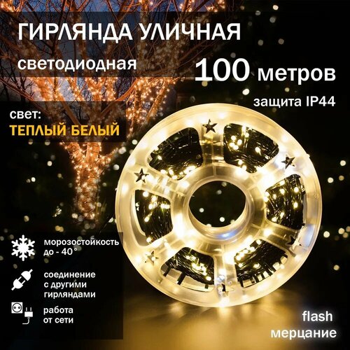 ���� ����������� �������� ���� 