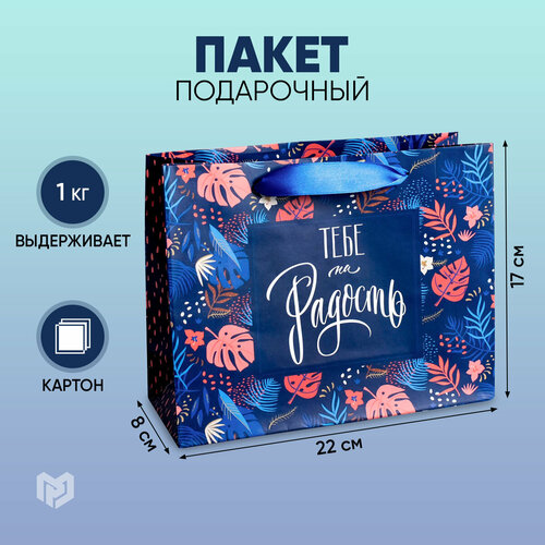 ���� ����� ���������� ������ ������� ���� �� �������, 22 x 17,5 x 8 ��, �������/�����/������, ������ �� 146 ���