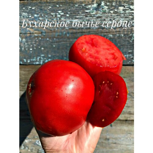 ���� ������������� ������ ������ ��������� ����� ������, ������ �� 104 ���